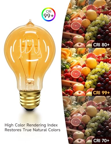 Incandescent Light Bulbs 40 Watt 2700K A19 E26