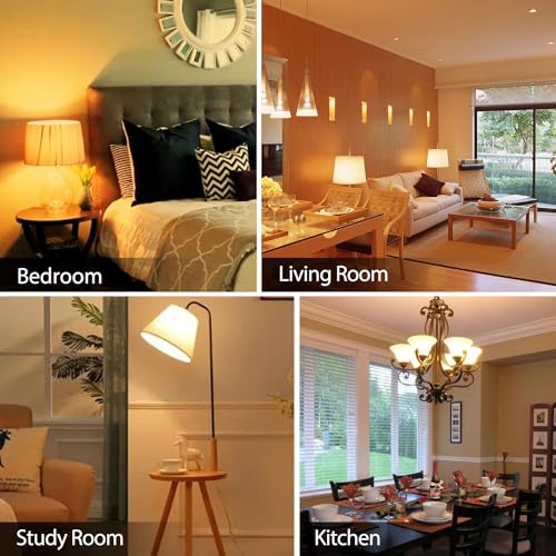 6 Pack A19 LED Light Bulbs (6 Count)