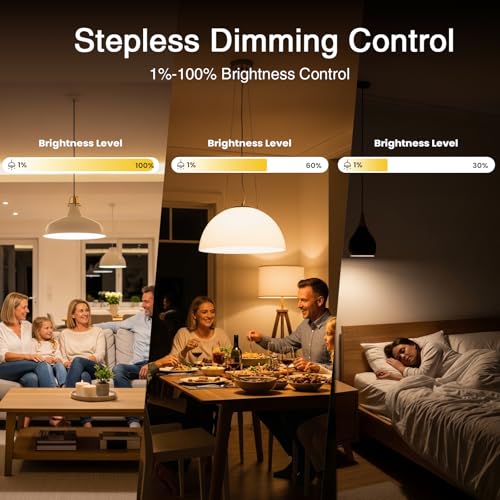 Dimmer Switch (3 Count)