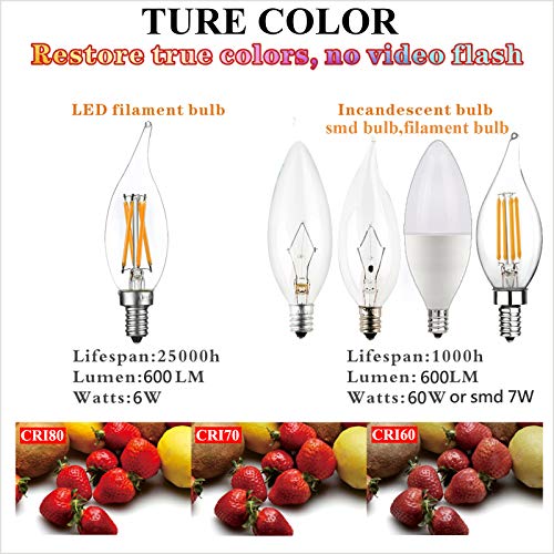 CA10 E12 Led Bulb (12 Count)