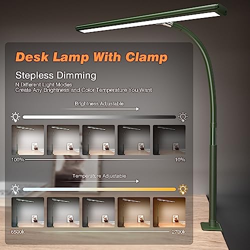 LED Desk Lamp with Clamp