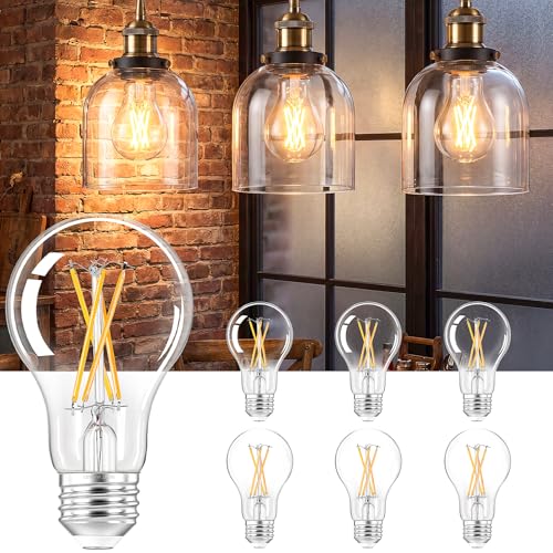 A19 Vintage LED Edison Light Bulb (6 Count)