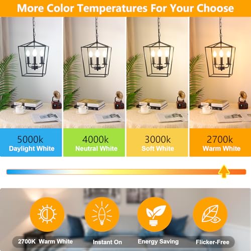 Dimmable E12 LED Candelabra Bulbs 60W Equivalent (12 Count)