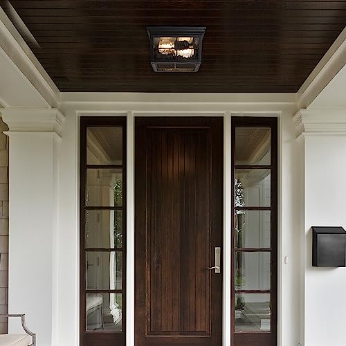 Outdoor Flush Mount Ceiling Light Fixture