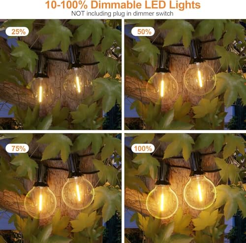 Outdoor String Lights