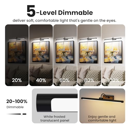 24" Picture Light with 8000mAh Battery