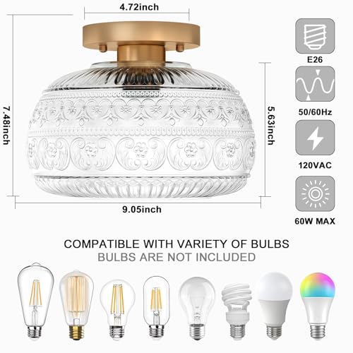 9" Clear Glass Flush Mount Ceiling Light Fixture