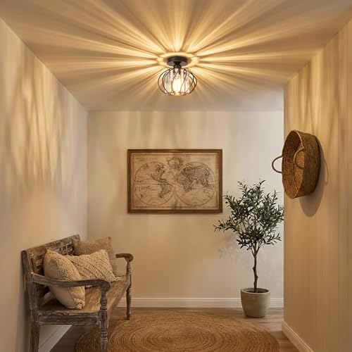 Black Crystal Ceiling Light Fixture (2 Count)