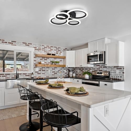Modern LED Ceiling Light