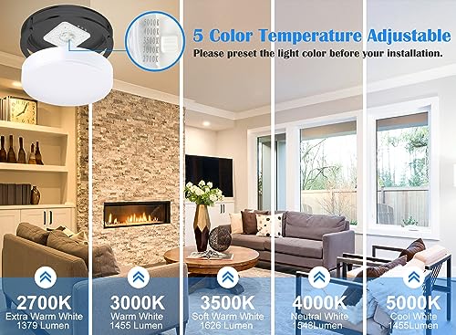 Black Flush Mount Ceiling Light