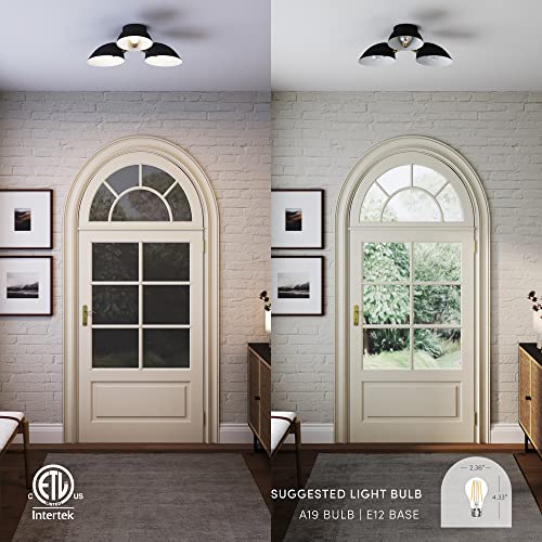 Argo Semi Mount Flush Ceiling Light (2 Count)
