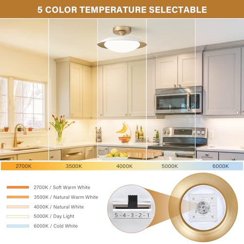 Dimmable Modern Mid