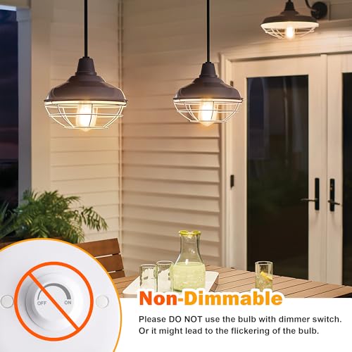 4 Pack Vintage Edison Bulbs 60W Equivalent (4 Count)