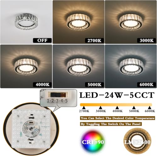 Dimmable Crystal Flush Mount Ceiling Light