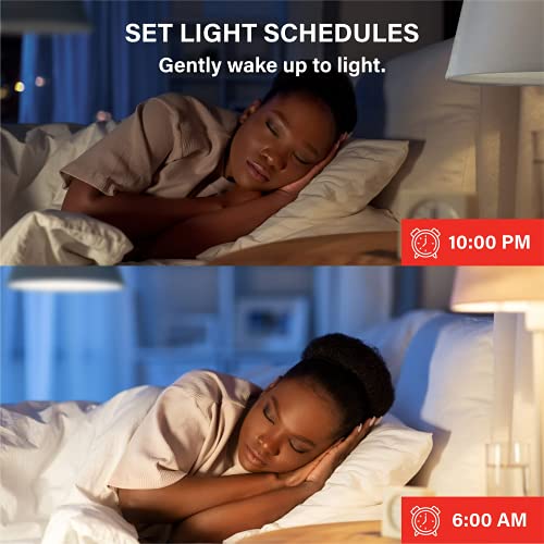 Alexa Light Bulb (4 Count)