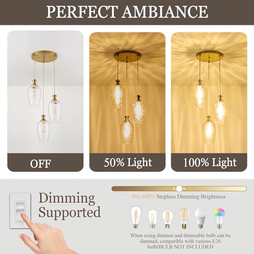 3 Light Cluster Pendant Lighting