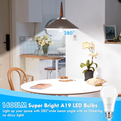 LED Light Bulbs 100 Watt Equivalent (12 Count)