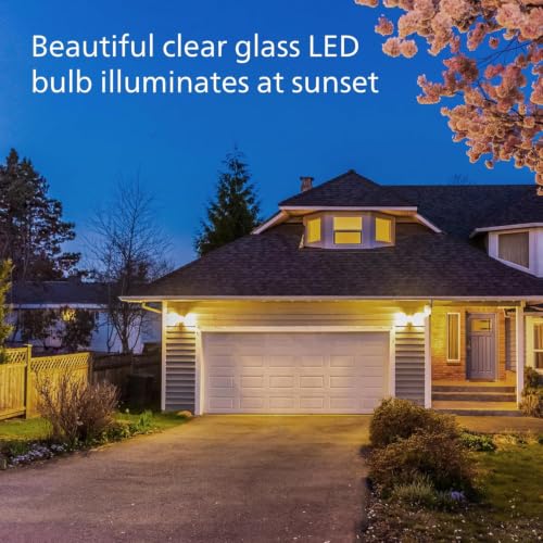 60W ST19 3 Pack Dusk to Dawn Soft White (3 Count)