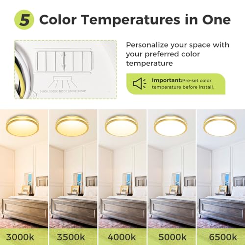 1 Pack Flush Mount Ceiling Light Fixture