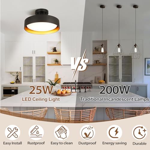 Semi Flush Mount LED Ceiling Light 4000K