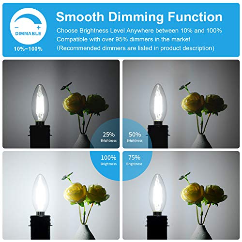 6 Pack Dimmable E12 LED Candelabra Bulbs 60W Equivalent (6 Count)
