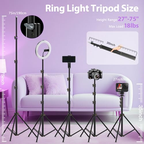 Professional 22" Ring Light with Stand