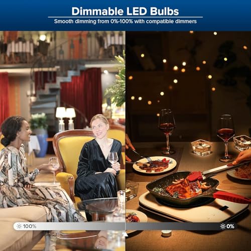 Dimmable LED Light Bulbs