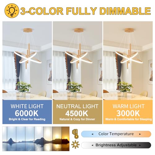 LED Gold Modern Chandeliers