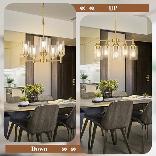 D19.8" Chandelier for Dining Room