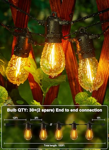 LED Outdoor String Lights for Patio 100FT with 32 Shatterproof S14 Vintage Edison Bulbs (32 Count)