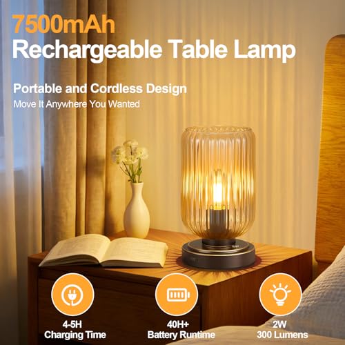 Cordless Table Lamp for Bedroom