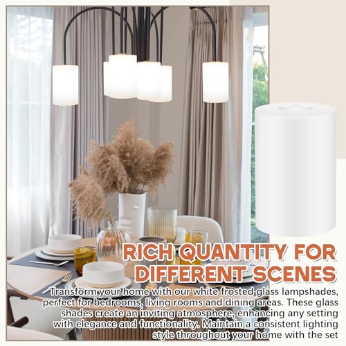 1 Pcs White Frosted Glass Lamp Shade 1
