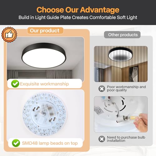 Flush Mount Ceiling Light (Black)