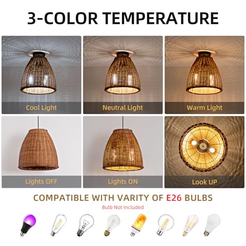 13.8" Rattan Pendant Light