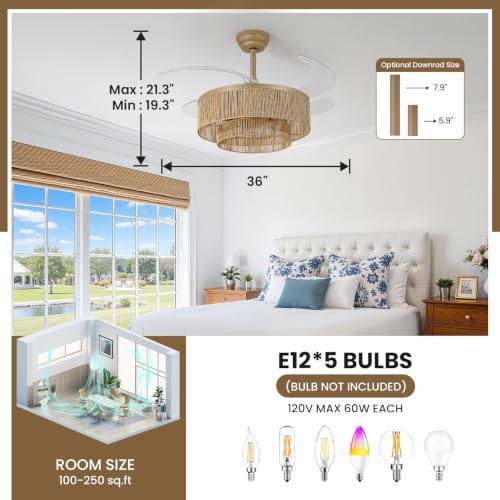 Retractable Ceiling Fans with Lights (36 inch)