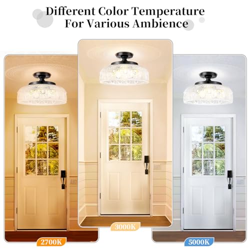 Semi Flush Mount Ceiling Light