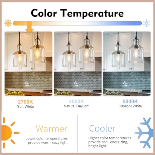 6Pack Edison Light Bulbs 60W Equivalent (6 Count)