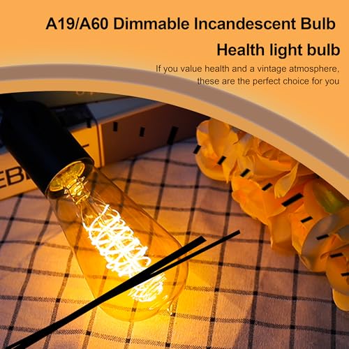 Warm Incandescent Light Bulbs 60 Watt