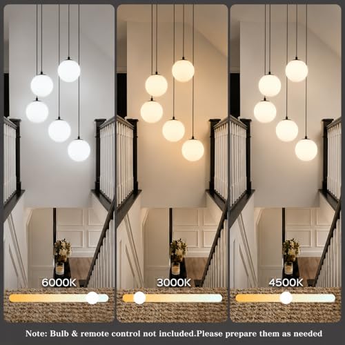 Black Globe High Ceiling Chandelier (Black / 5-Light)