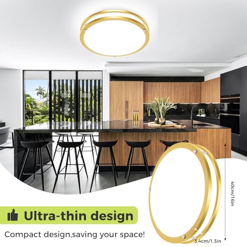 2 Pack Flush Mount Ceiling Light Fixture (2 Count)