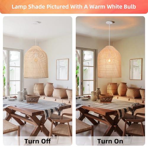 1 Light Wicker Bell Pendant Lamp