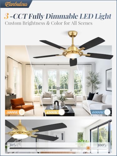 52 Inch Black Ceiling Fans with 3CCT Lights and Remote (Gold / 52")