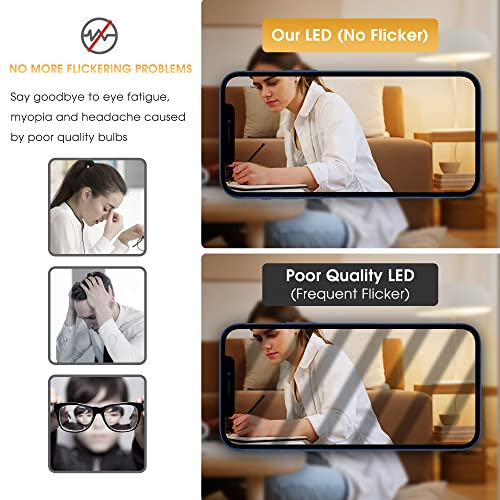 LED Light Bulbs (2 Count)