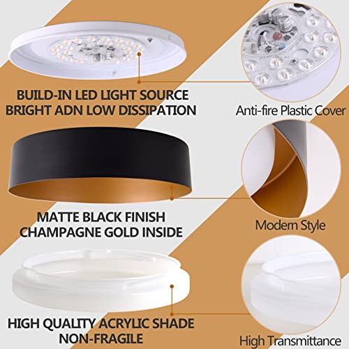 Flush Mount Ceiling Light