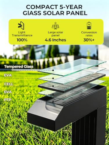 Solar Pathway Lights Outdoor (6 Count)