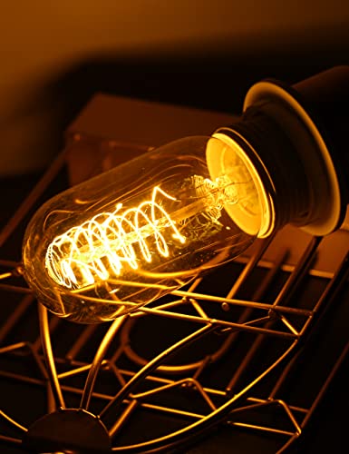 Edison Bulbs Light Bulbs (4 Count)