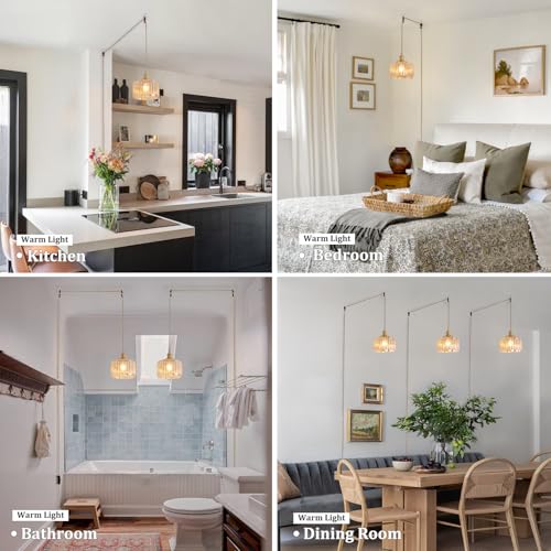 Plug in Pendant Light Hanging Light Fixtures with Plugin Cord On