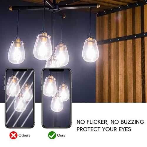 Edison Bulbs E26 LED Bulb 60 Watt Equivalent