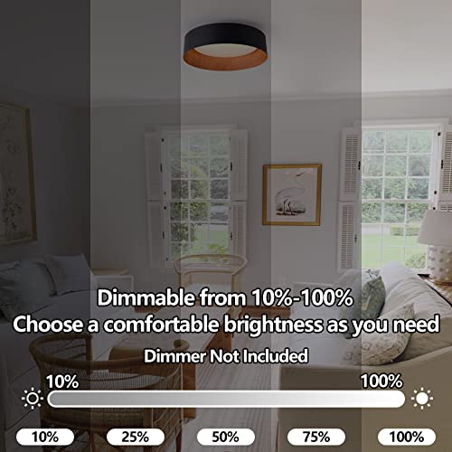 Kitchen Flush Mount Ceiling Light