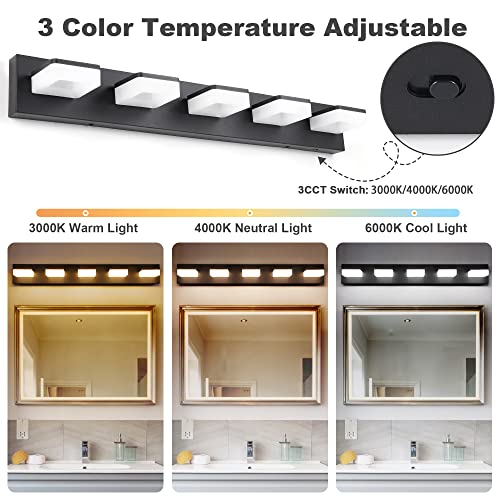 3 Colors Dimmable Black Vanity Light